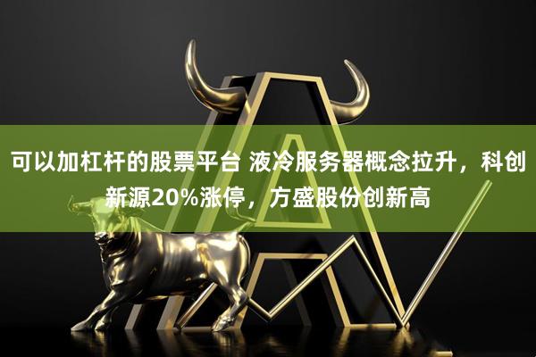 可以加杠杆的股票平台 液冷服务器概念拉升，科创新源20%涨停，方盛股份创新高